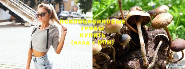 бутик Зерноград