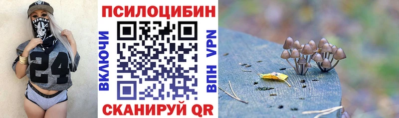 Купить закладки  Волхов  Псилоцибиновые грибы прущие грибы 